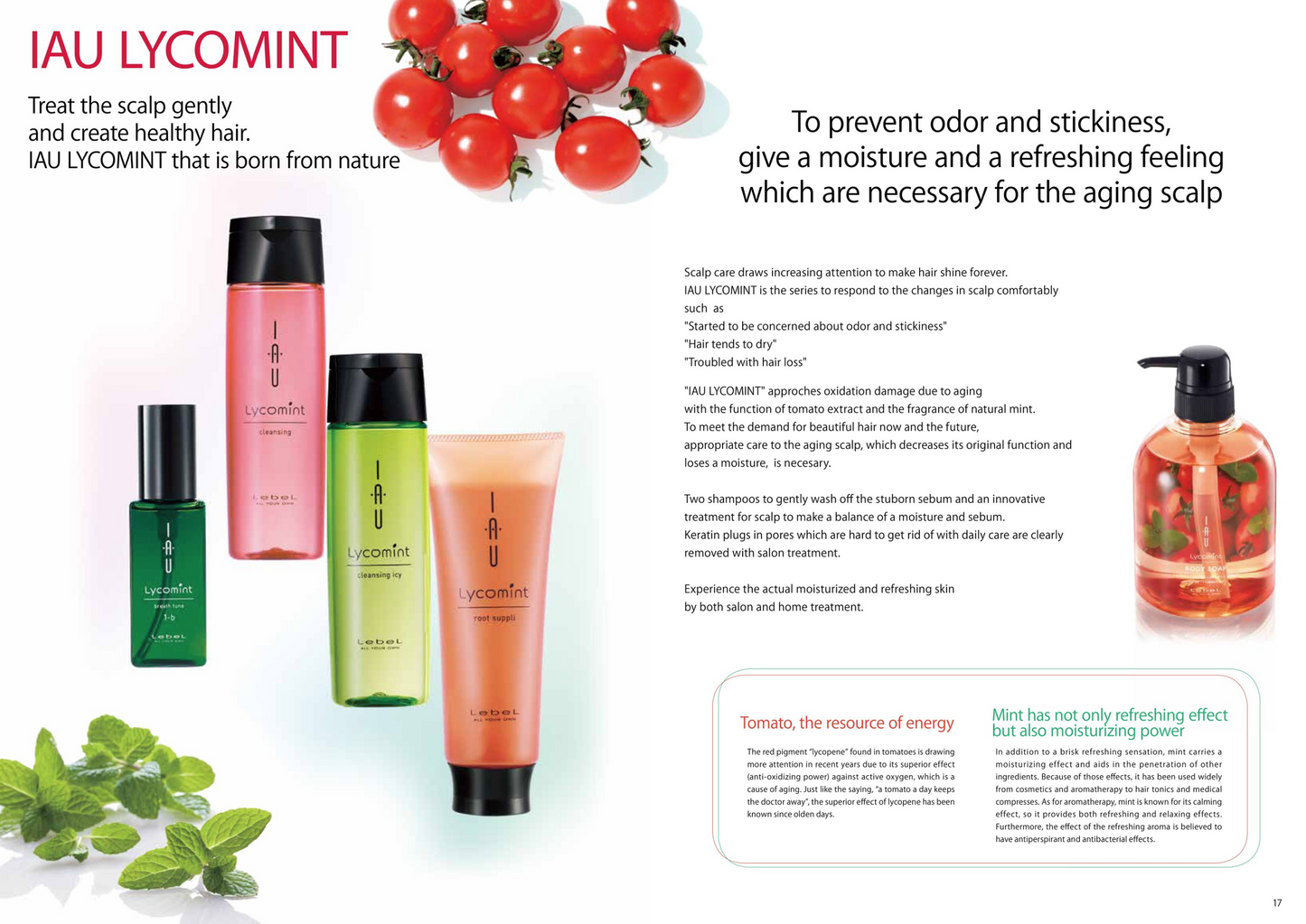 LebeL IAU LYCOMINT cleansing icy (1000ml refill)